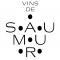 Image LES VINS DE SAUMUR
