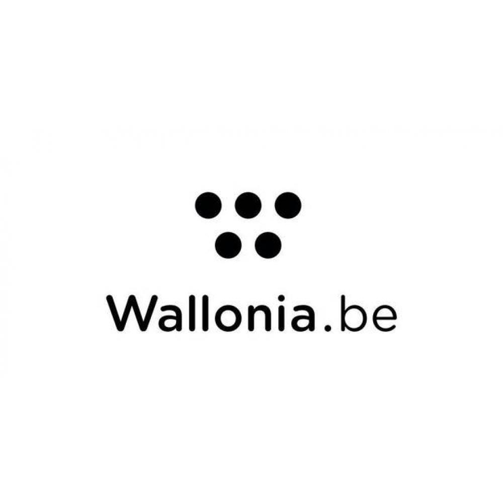 Author's logo
