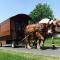 Image Les Attelages du Gros Bois - Vacances en roulotte avec cheval