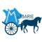 Image M de Marie