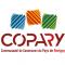 Image COPARY