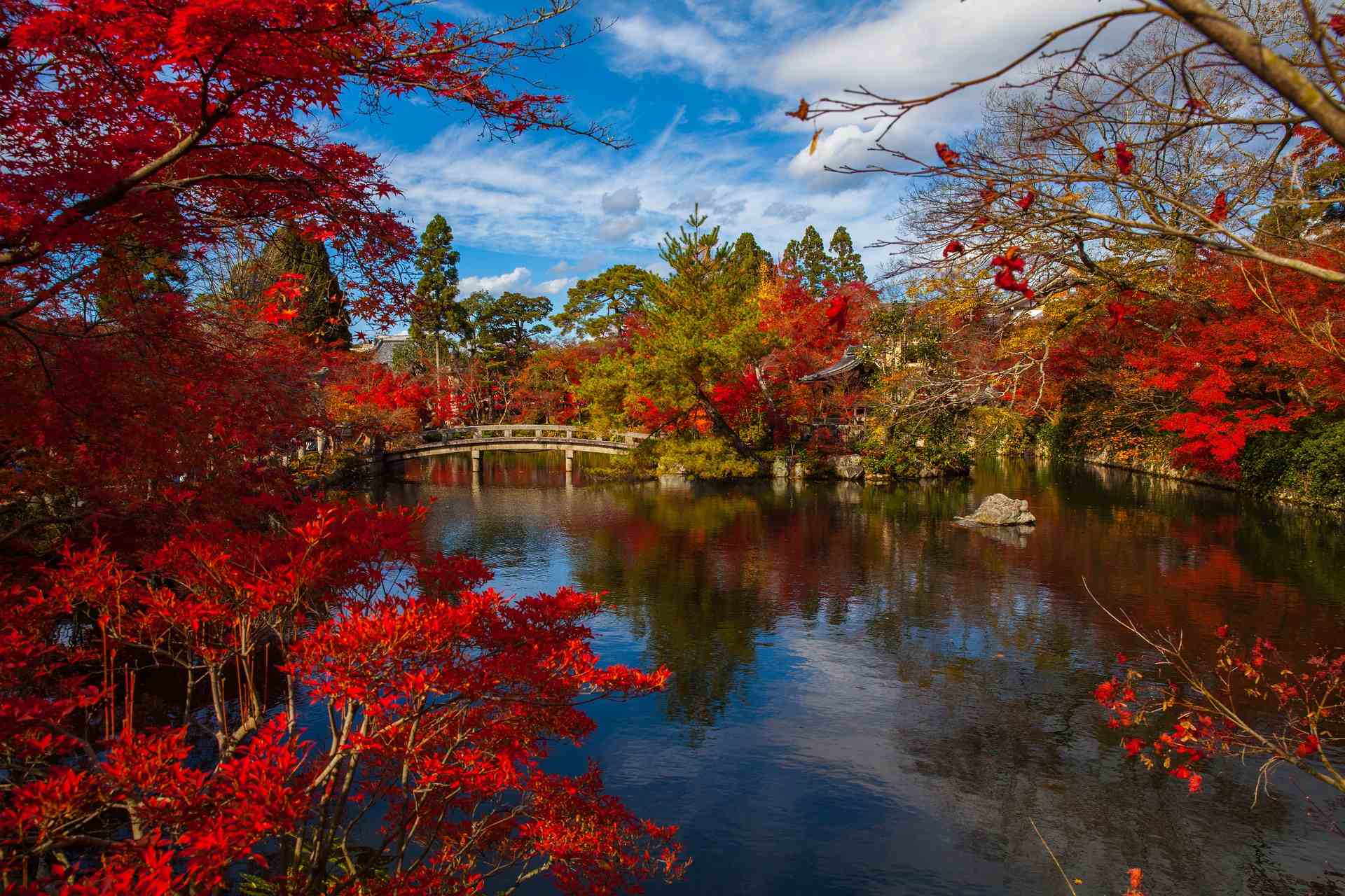 Tokyo en automne